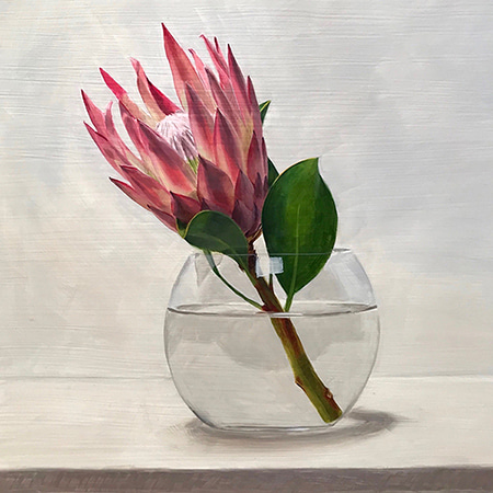 King Protea by Tsering  Hannaford | Lethbridge Gallery